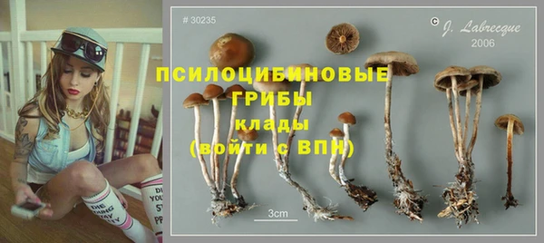 MDMA Ельня