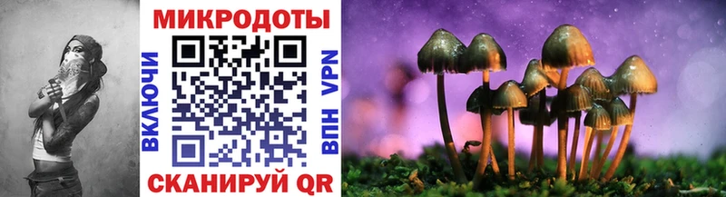 Псилоцибиновые грибы мицелий как найти Зея